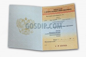 купить аттестат за 11 класс об окончании школы за 1995-2006 года в санкт-петербурге