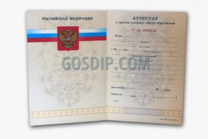 купить аттестат за 11 класс 2007, 2008, 2009 в санкт-петербурге
